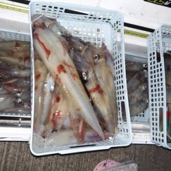 第二龍勢丸 釣果