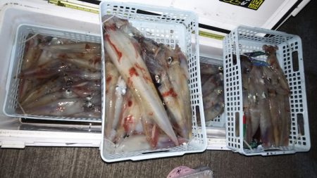 第二龍勢丸 釣果