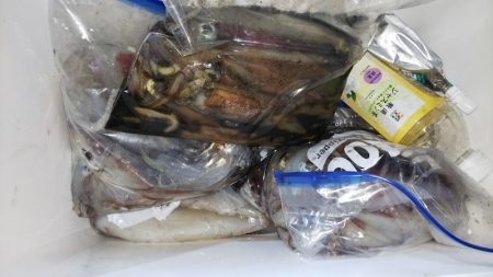 第二龍勢丸 釣果