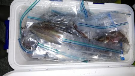 第二龍勢丸 釣果