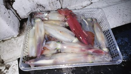 第二龍勢丸 釣果