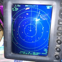 第二龍勢丸 釣果