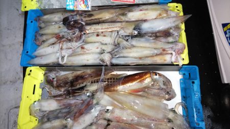 第二龍勢丸 釣果