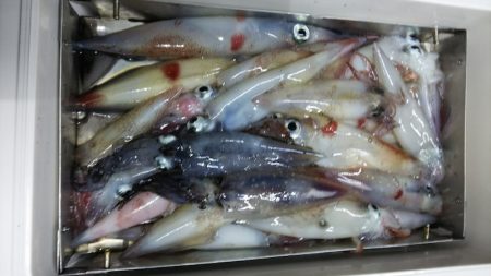 第二龍勢丸 釣果