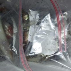 第二龍勢丸 釣果