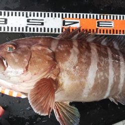 第二龍勢丸 釣果