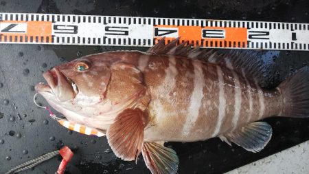 第二龍勢丸 釣果