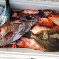 第二龍勢丸 釣果