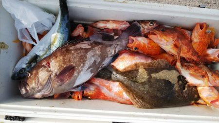 第二龍勢丸 釣果