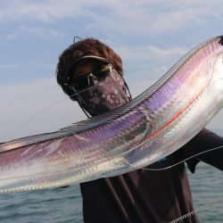 シースナイパー海龍 釣果