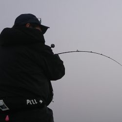 遊漁船 家入 釣果