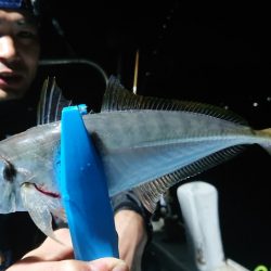 シースナイパー海龍 釣果