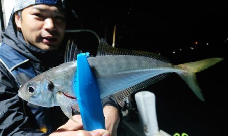 シースナイパー海龍 釣果