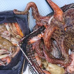 遊漁船 家入 釣果