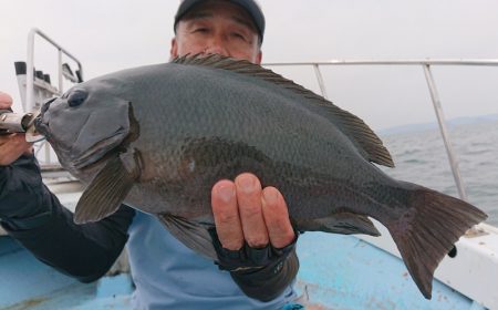 シースナイパー海龍 釣果