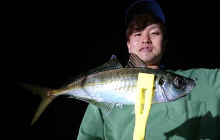 シースナイパー海龍 釣果