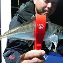 シースナイパー海龍 釣果