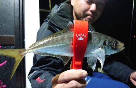 シースナイパー海龍 釣果