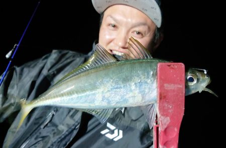 シースナイパー海龍 釣果