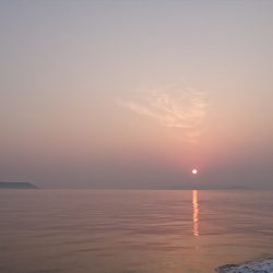 遊漁船 家入 釣果