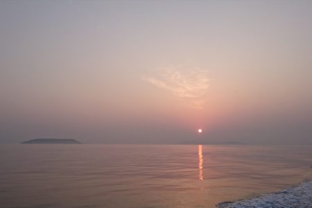 遊漁船 家入 釣果