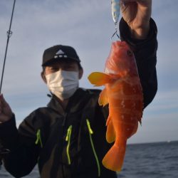 渡船屋たにぐち 釣果