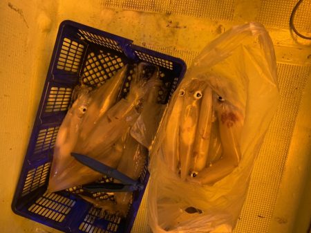 海龍丸（石川） 釣果