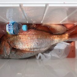 第二八坂丸 釣果