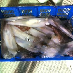 海龍丸（石川） 釣果