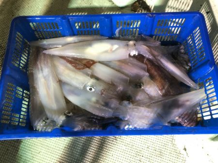 海龍丸（石川） 釣果