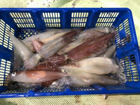 海龍丸（石川） 釣果