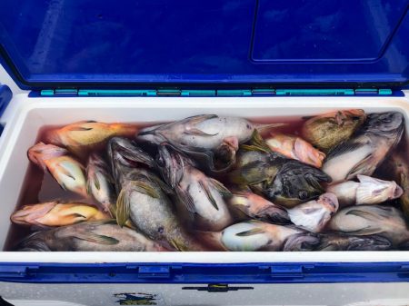 第二 つれたか丸 釣果