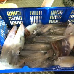 海龍丸(石川) 釣果