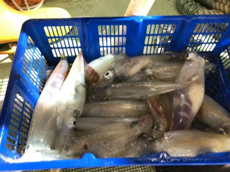 海龍丸(石川) 釣果