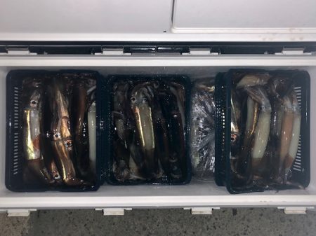 第二八坂丸 釣果