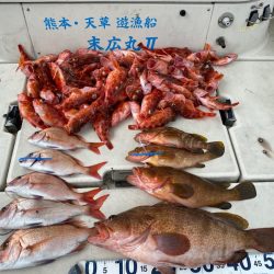 末広丸(熊本) 釣果