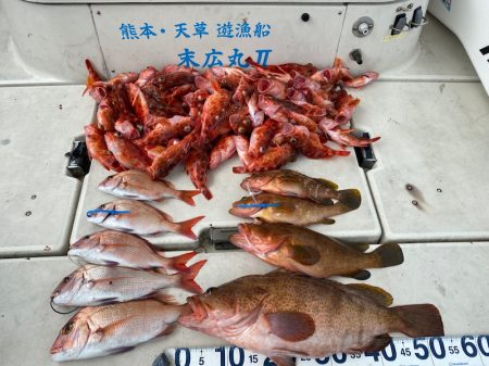 末広丸(熊本) 釣果