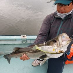 アマテラス 釣果