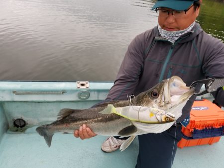 アマテラス 釣果