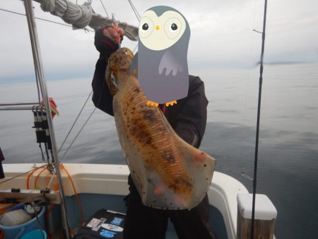 きずなまりん 釣果