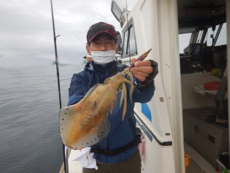 きずなまりん 釣果