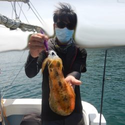 きずなまりん 釣果