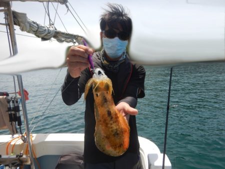 きずなまりん 釣果