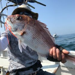 ランスルー 釣果