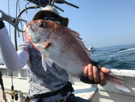 ランスルー 釣果