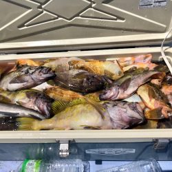 第二　つれたか丸 釣果