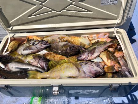 第二　つれたか丸 釣果