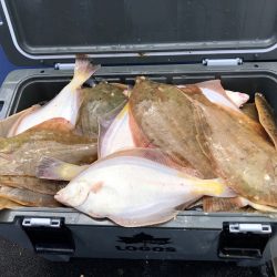 第二　つれたか丸 釣果