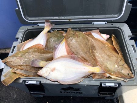 第二　つれたか丸 釣果