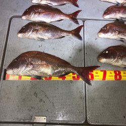 遊漁船高橋 釣果